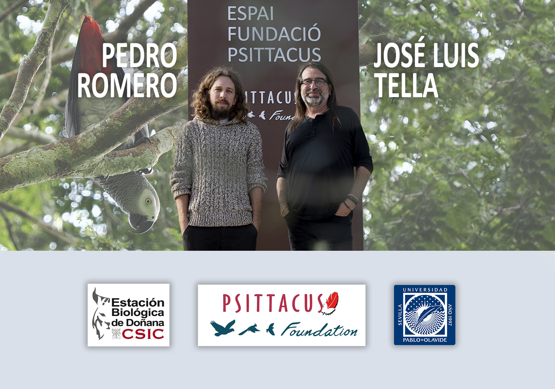 Chuyến thám hiểm khoa học tới Cộng hòa Dân chủ Congo: Chiến lược bảo tồn và tương lai của loài vẹt xám đuôi đỏ. Phần 2 