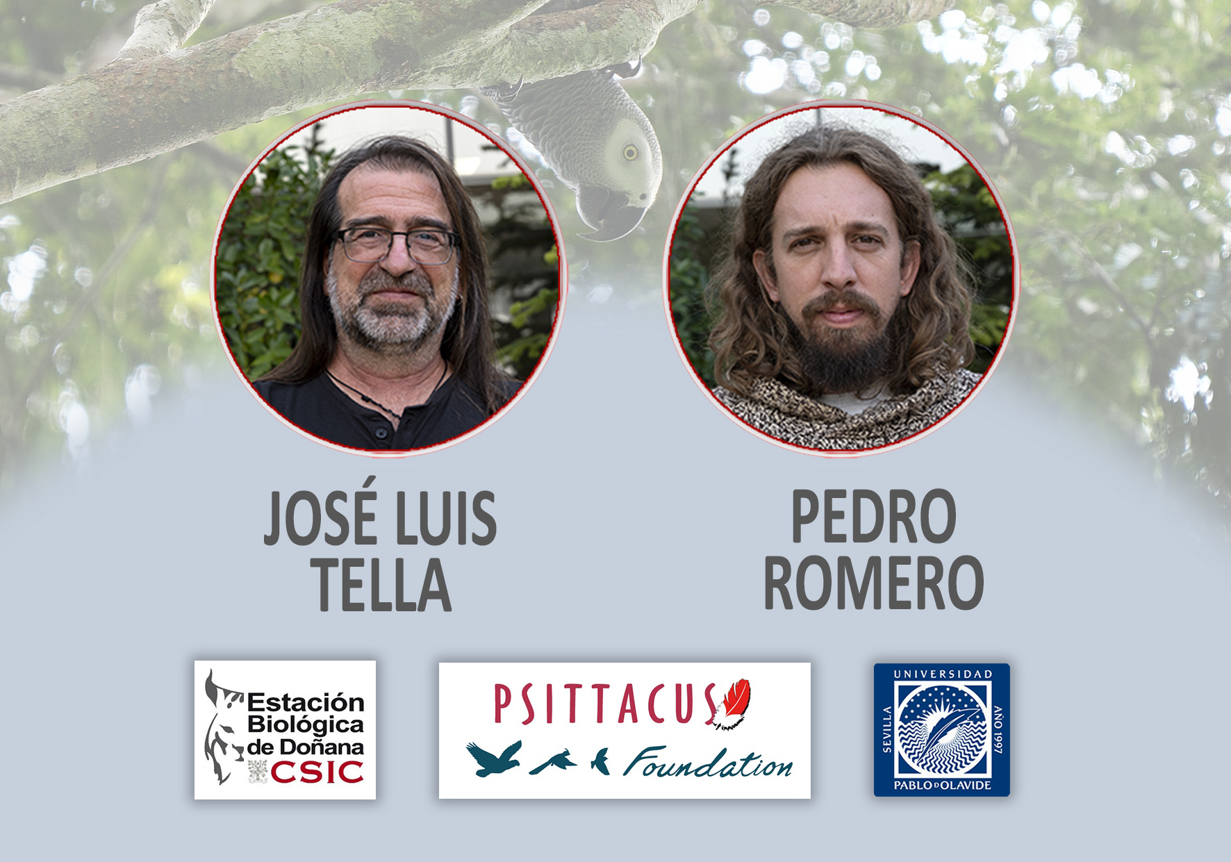 Chuyến thám hiểm khoa học tại Cộng hòa Dân chủ Congo: Thách thức đối với sự tồn tại của loài vẹt xám đuôi đỏ 